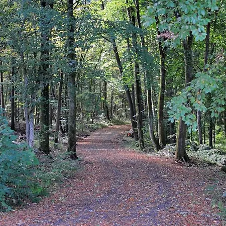 Holiday Waldferienpark Gerolstein-5 * غيرولشتاين